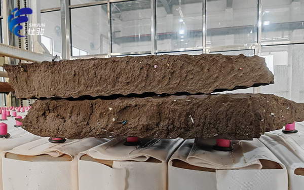 青島仕駿-污泥調(diào)理劑,污泥脫水增效劑制造商 青島仕駿-污泥調(diào)理劑,污泥脫水增效劑制造商