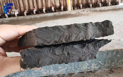 造紙廠生化污泥脫水可以使用什么調(diào)理劑-青島仕駿