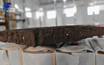 污泥增效劑助力環(huán)保事業(yè)，提高脫水效率、縮短周期-青島仕駿