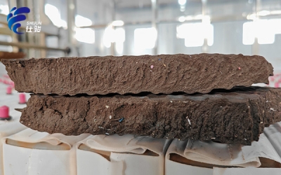 污泥增效劑解決板框壓泥“溏心”,泥餅含水率高問題-青島仕駿