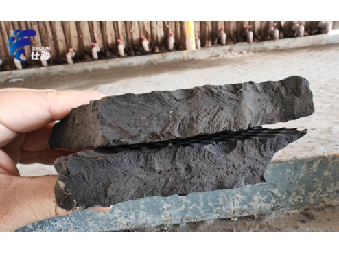 造紙廠生化污泥脫水可以使用什么調(diào)理劑-青島仕駿