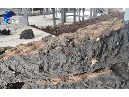 在處理污泥脫水過程中，你有出現泥餅&ldquo;溏心&rdquo;這種現象？-青島仕駿