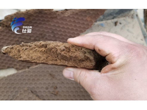 如何解決市政污泥泥餅含水率高問題-青島仕駿