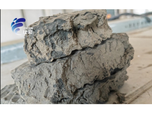 市政污泥脫水處理:污泥調理劑的重要性-青島仕駿