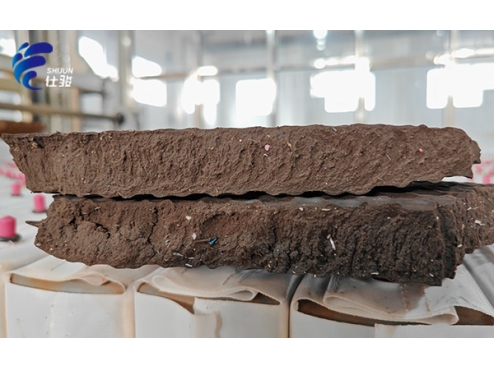 污泥增效劑解決板框壓泥“溏心”,泥餅含水率高問題-青島仕駿