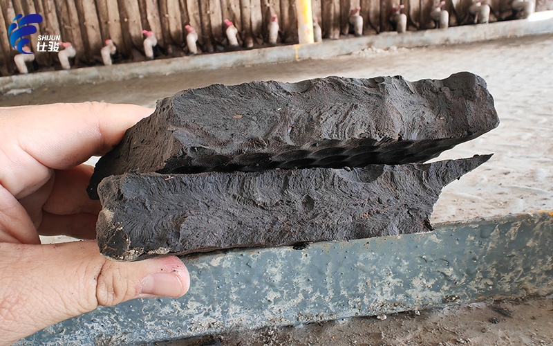 浙江某大型醫藥污泥調理